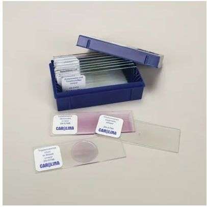 LAMINA FIJA PATHOGENIC PROTOZOA SET 293692