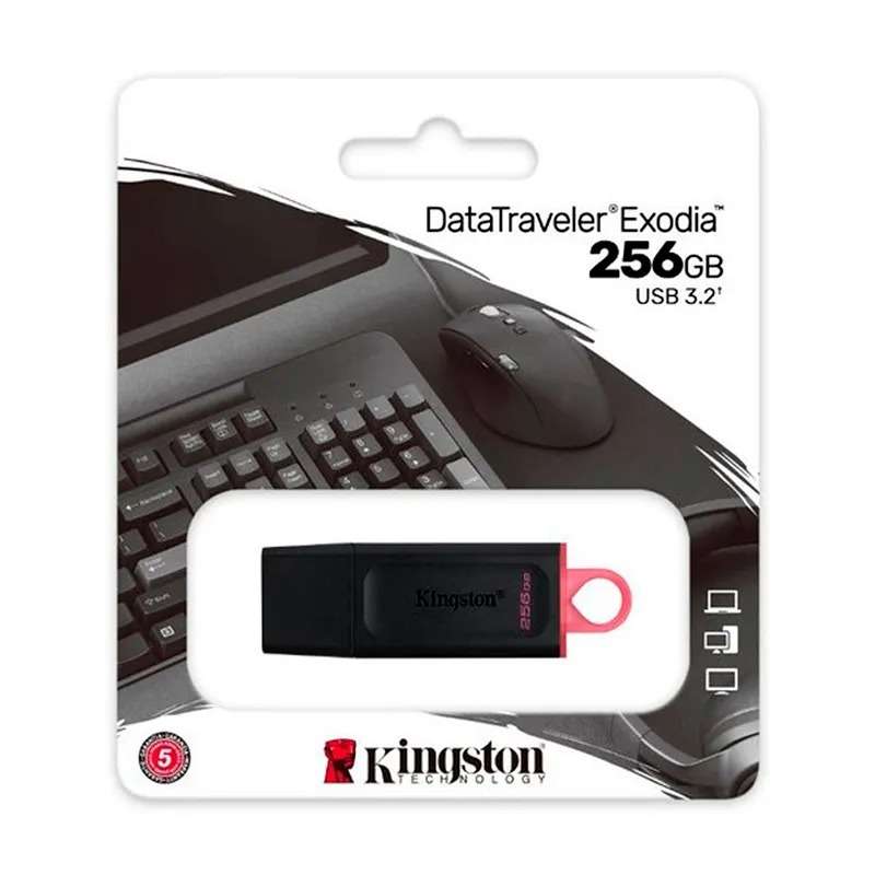 MEMORIA USB 256GB 3.2 KINGSTON DTX/256GB