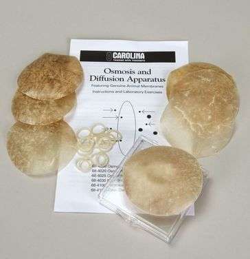 DISCOS MEMBRANAS 3" PACK DE 12 # 684030