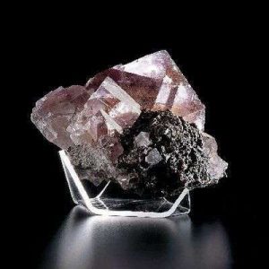 SOPORTES PARA EXHIBICION MINERALES M-L 470018-772 VWR SCIENTIFIC