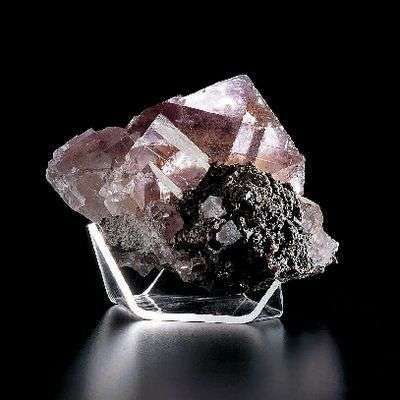SOPORTES PARA EXHIBICION MINERALES M-L 470018-772 VWR SCIENTIFIC