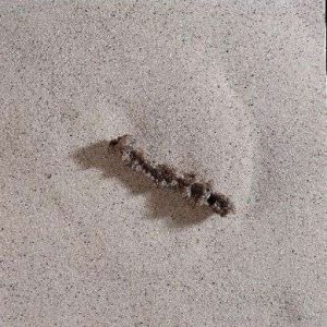 MUESTRA DE MANO DE FULGURITA 470025-900 VWR SCIENTIFIC