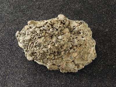 MUESTRA DE MANO DE CONGLOMERADO 470025-964 VWR SCIENTIFIC