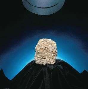 MUESTRA DE MANO DE CALIZA (COQUINA) 470026-078 VWR SCIENTIFIC