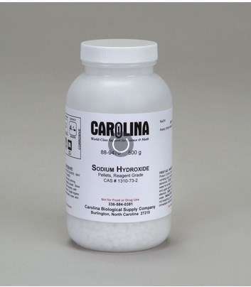 HIDROXIDO DE SODIO, GRANULOS, RG, 500G # 889470 CAROLINA BIOLOGICAL