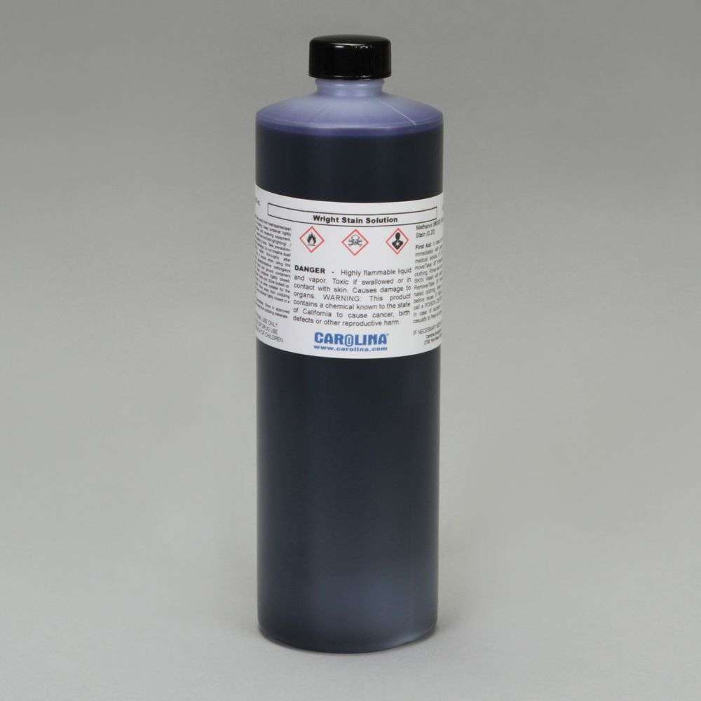 TINCION DE WRIGHT, 0,3% DE ALCOHOL METÌLICO, 500ML #898535. CAROLINA BIOLOGICAL