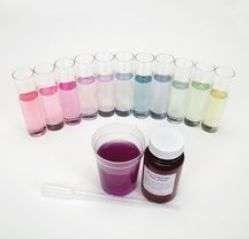 KIT JUGO REPOLLO MORADO 840466 CAROLINA BIOLOGICAL