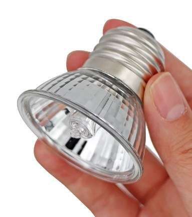 BOMBILLO UV PARA SERPENTARIO 50W