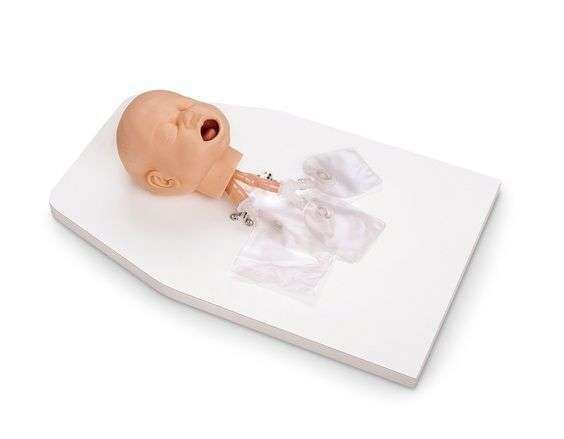 MODELO PRACTICO MANEJO DE LAS VÌAS RESPIRATORIAS PARA BEBÌäS CON SOPORTE LF03623U NASCO